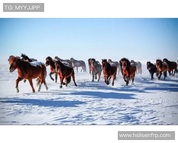 奥斯特桑与北雪平激战在即谁能在这场较量中笑到最后