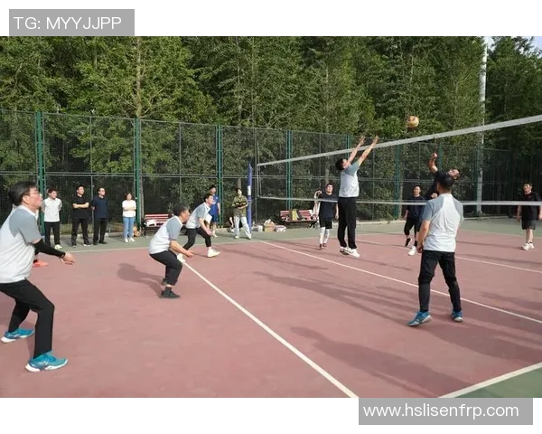 葡萄牙男排迎战巴西队力争在国际赛场上取得佳绩